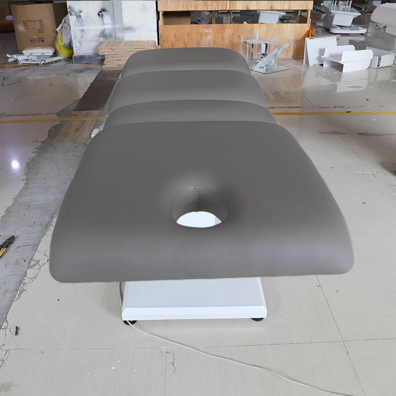 2 Motors Electric Treatment Bed Beauty Salon Facial Modern Electric Beauty Bed