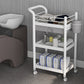 Hot Selling Custom High Quality New Design Salon Hair Equipment Beauty Salon Trolley Hairdressing Beauty Cart