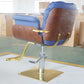 Cadiario Blue Comfortable Simple Fashion Salon Beauty Barber Style Retro Chair