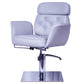 Cadiario Hot sale light and concise small barber chair with bold pump can be customized inverted color