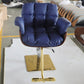 Cadiario Blue Comfortable Simple Fashion Salon Beauty Barber Style Retro Chair